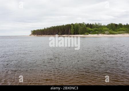 Stadt Carnikava, Lettland. Wanderplatz an der Ostsee mit Sand und Bäumen.03.06.2020 Stockfoto