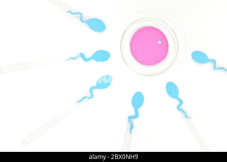 Konzept der in-vitro-Fertilisation. Sperma und Eizelle auf Reagenzglas und Petrischale im Labor. Stockfoto