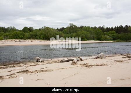 Stadt Carnikava, Lettland. Grüne Natur im Sommer mit Fluss Gauja und Wellen. 03.06.2020 Stockfoto