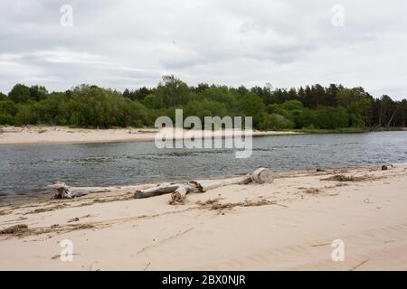 Stadt Carnikava, Lettland. Grüne Natur im Sommer mit Fluss Gauja und Wellen. 03.06.2020 Stockfoto