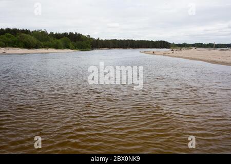 Stadt Carnikava, Lettland. Grüne Natur im Sommer mit Fluss Gauja und Wellen. 03.06.2020 Stockfoto