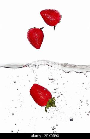 Nahaufnahme von frischen und Gesundheit Erdbeeren fallen in klarem Wasser isoliert auf weißem Hintergrund. Waschen der Früchte Stockfoto