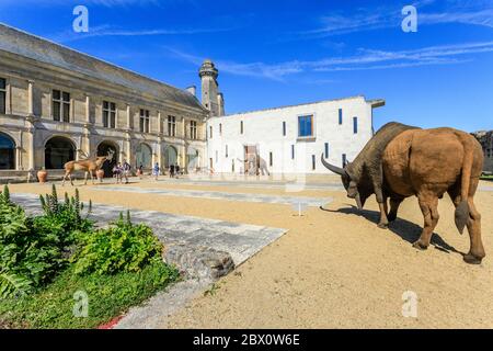 Frankreich, Indre et Loire, Le Grand Pressigny, Schloss Grand Pressigny, die Vorgeschichte von Grand Pressigny Museum // Frankreich, Indre-et-Loire (37), Le Grand- Stockfoto