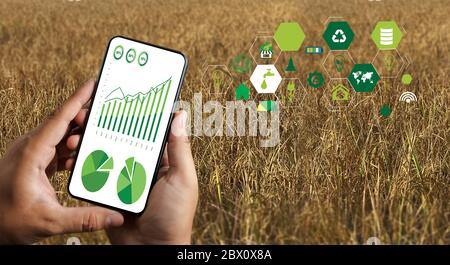 Landwirtschafts-Technologie-Konzept Mann Agronom mit einem Tablet in einem Landwirtschafts-Feld lesen Sie einen Bericht Stockfoto