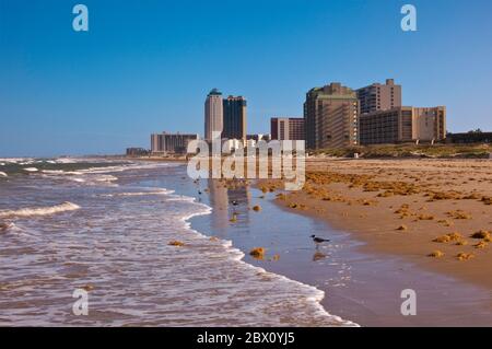 Eigentumswohnung und Hotel überragen den Golf von Mexiko Strand in South Padre Island, Texas, USA Stockfoto