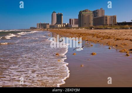 Eigentumswohnung und Hotel überragen den Golf von Mexiko Strand in South Padre Island, Texas, USA Stockfoto