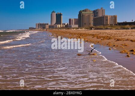 Eigentumswohnung und Hotel überragen den Golf von Mexiko Strand in South Padre Island, Texas, USA Stockfoto