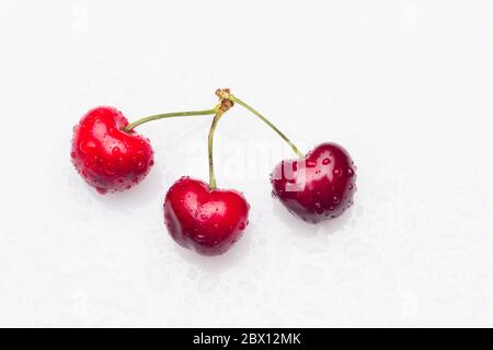 Kirschen von kirschroter Farbe, fast granatrot, vitaminreiche Frucht, roh gegessen ideal für Desserts von Marmeladen, Marmeladen, Säfte. Voller Vitamine und sehr hea Stockfoto