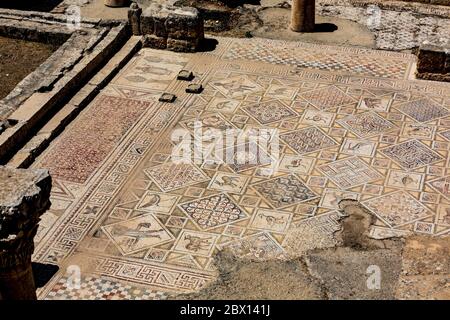 Mosaikboden der Johannes der Täufer Kirche, Jerash, Jordanien Stockfoto