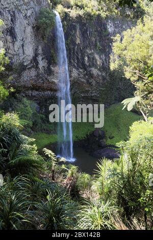 Wasserfall. Wasserfall genannt Wairēinga/Bridal Veil Falls, 55 Meter Fallhöhe in der Nähe von Raglan, Nordinsel, Neuseeland. Keine Leute. Vollformat. Stockfoto