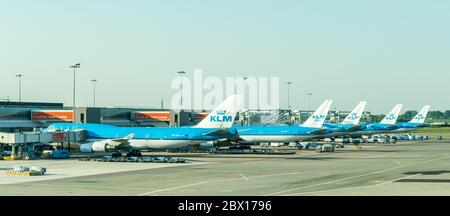 Amsterdam Mai 14 2018 - fünf große KLM-Flugzeuge warten auf ihren Abflug am E-Terminal des Flughafens Schiphol Stockfoto