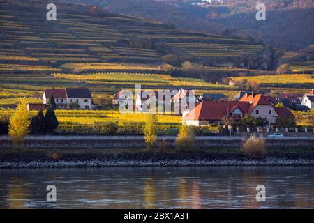 Herbstansicht des kleinen österreichischen Dorfes Weissenkirchen in der Wachau an einem Donauufer, Bezirk Krems-Land, Wachau-Tal, Österreich Stockfoto