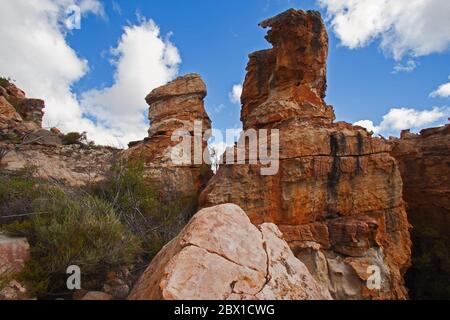 Cederberg Mountain Wilderness Area Szene 12947 Stockfoto