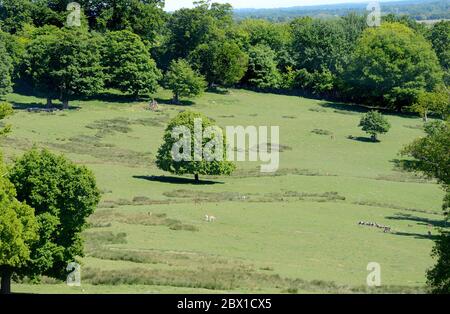 Boughton Monchelsea Village, Kent, Großbritannien. Hirschpark vom Kirchhof aus gesehen Stockfoto