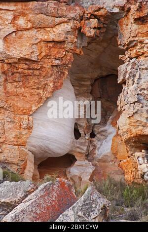 Cederberg Mountain Wilderness Area Szene 12951 Stockfoto