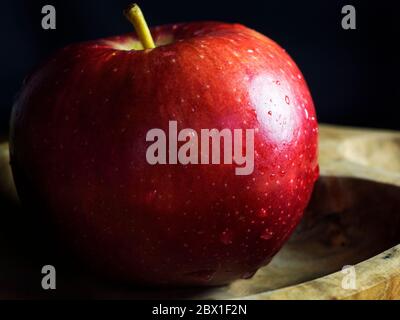 Ein einzelner Braeburn, der einen Apfel in einer Holzschale vor schwarzem Hintergrund isst Stockfoto