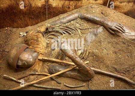 Einer der bis zu 2500 Jahre alten Moorkörper im archäologischen Museum von Schloss Gottorf in Schleswig. Stockfoto