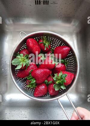 Gewaschen reifen saftige rote Erdbeeren in Mesh-Sieb über Waschbecken in Küche, POV und Draufsicht Stockfoto