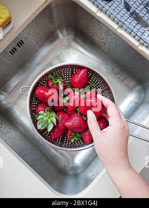 Gewaschen reifen saftige rote Erdbeeren in Mesh-Sieb über Waschbecken in Küche, POV und Draufsicht Stockfoto