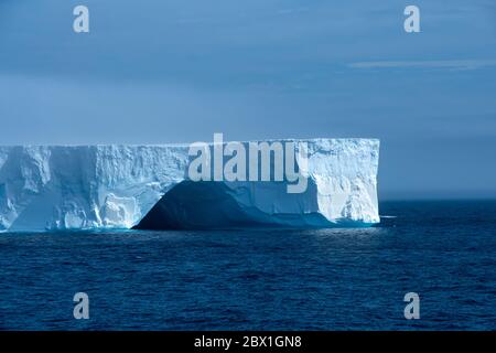 Ein großer blauer Eisberg, der in der Admiralty Bay, Antarktis schwimmt. Stockfoto