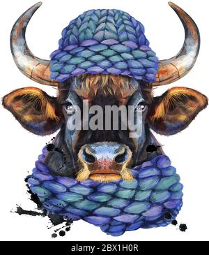 Aquarell Illustration von schwarzen kräftigen Stier in gestrickten blauen Hut mit Spritzern Stockfoto
