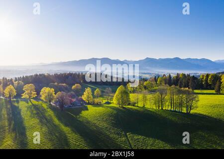 Buchberg bei Wackersberg im Morgenlicht, Tölzer Land, Drohnenschuss, Alpenvorland, Oberbayern, Bayern, Deutschland Stockfoto