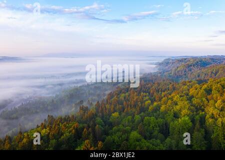 Nebel im Isartal im Morgenlicht, bei Icking, Tölzer Land, Drohnenschuss, Oberbayern, Bayern, Deutschland Stockfoto