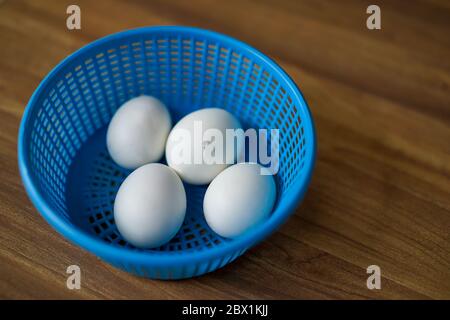 4 weiße Hühnereier in blauem Plastikkorb auf Holzboden. 1 von 4 Huhn ist bereit, die Eierschale von innen heraus zu brechen. Stockfoto