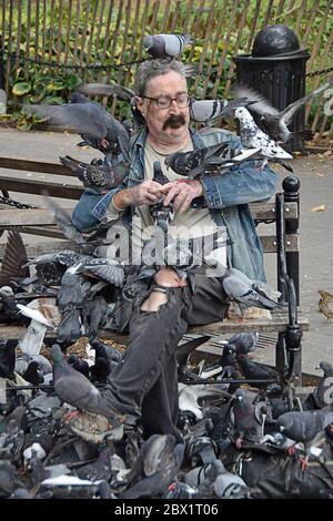 Paul Zig, der Vogelmann des Washington Square Park, füttert eine Herde Tauben. In Greenwich Village, Manhattan, New York City. Stockfoto