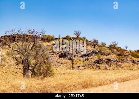 FAIRFIELD - LEOPOLD DOWNS ROAD, KIMBERLEY, WESTERN AUSTRALIA, AUSTRALIEN Stockfoto