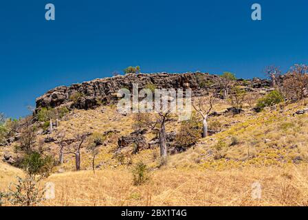 FAIRFIELD - LEOPOLD DOWNS ROAD, KIMBERLEY, WESTERN AUSTRALIA, AUSTRALIEN Stockfoto