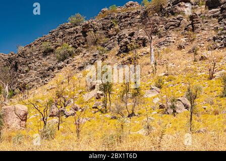 FAIRFIELD - LEOPOLD DOWNS ROAD, KIMBERLEY, WESTERN AUSTRALIA, AUSTRALIEN Stockfoto