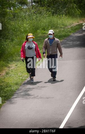 Ein asiatisch-amerikanisches Paar mittleren Alters, das chirurgische Masken trägt, geht auf dem Weg nahe der Bayside Marina in Queens, New York City. Stockfoto