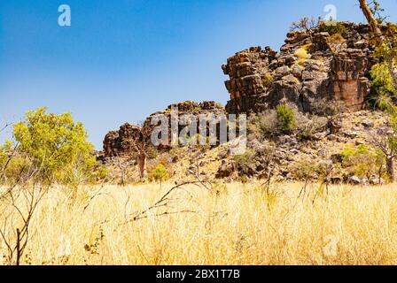 FAIRFIELD - LEOPOLD DOWNS ROAD, KIMBERLEY, WESTERN AUSTRALIA, AUSTRALIEN Stockfoto