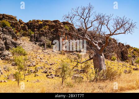 FAIRFIELD - LEOPOLD DOWNS ROAD, KIMBERLEY, WESTERN AUSTRALIA, AUSTRALIEN Stockfoto