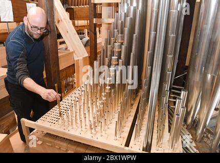 Stralsund, Deutschland. Juni 2020. Der Orgelvokateur Markus Zoitl (Markus Zoitl) arbeitet in der Kulturkirche St. Jakobi. Die Restaurierung der Orgel in Stralsunds größtem Veranstaltungsraum, der Kulturkirche St. Jakobi, ist nahezu abgeschlossen. Die Kosten für die Orgelrestaurierung belaufen sich auf rund 2.4 Millionen Euro. Sie kommen aus Bund, Land und Stadt sowie aus Spenden und der Stiftung Kulturkirche St. Jakobi. Quelle: Stefan Sauer/dpa/Alamy Live News Stockfoto