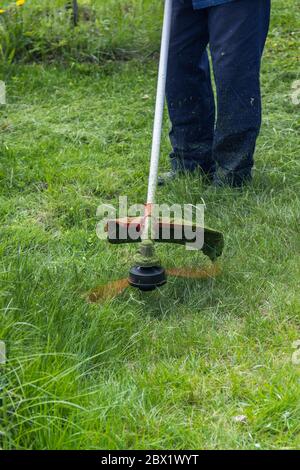 Arbeiter mäht Gras und Unkraut mit einem Rasenmäher auf dem Land Stockfoto