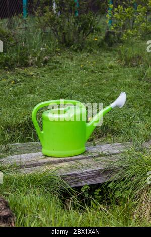 Grüne Gießkanne steht auf dem Boden für die Arbeit im Garten und Garten im Sommer Stockfoto