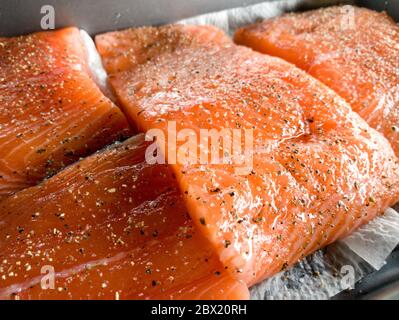 Einige Stücke Filet von rohem rotem Fisch mit Gewürzen liegen auf einem Backblech vor dem Rauchen, schwarzer Pfeffer und Salz, Lachs Stockfoto