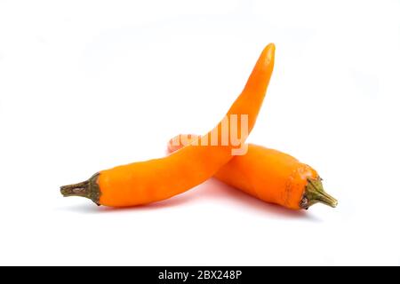 Frischer gelber Chili-Papper auf weißem Hintergrund. Stockfoto