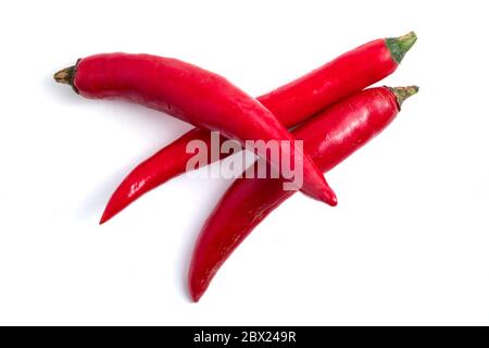 Frischer roter Chili-Papper auf weißem Hintergrund. Stockfoto
