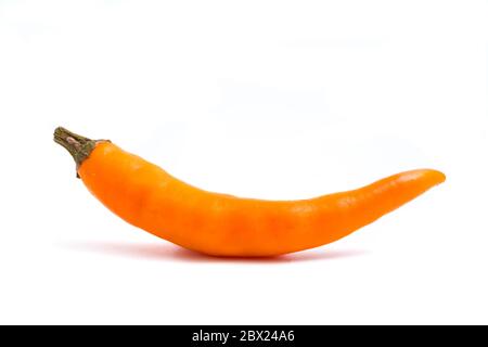 Frischer gelber Chili-Papper auf weißem Hintergrund. Stockfoto