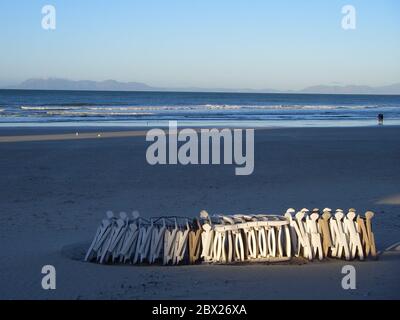 Toller Abschluss Stockfoto