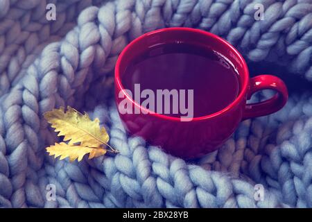 Rote Tasse Tee und Wolldecke Stockfoto