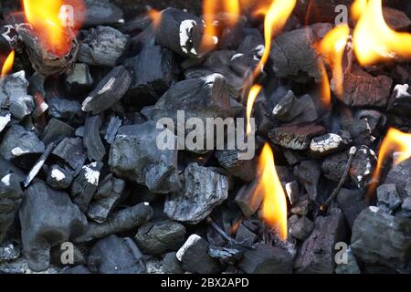 Feuer im Grill anzünden. Holzkohle beim Aufleuchten. Stockfoto