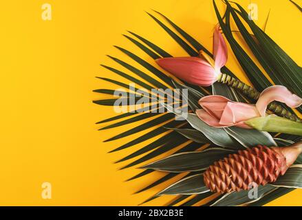 Rosa tropische Blumen auf Palme und Farbe Hintergrund Stockfoto