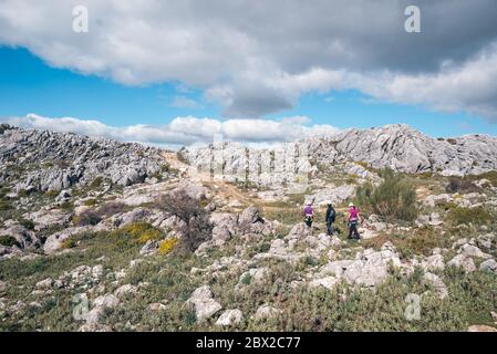 Konzept: Abenteuer. Drei Kletterer mit Helm und Gurtzeug. Wandern auf der Ebene auf dem Gipfel des Berges. Kalksteinlandschaft und niedrige Vegetati Stockfoto