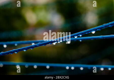 Blaue Bekleidungslinien einer Kleidung drehen sich mit vielen Regentropfen an der Schnur vor einem grünen Hintergrund, nach dem Regen. Retro Art der Wäsche zu machen Stockfoto