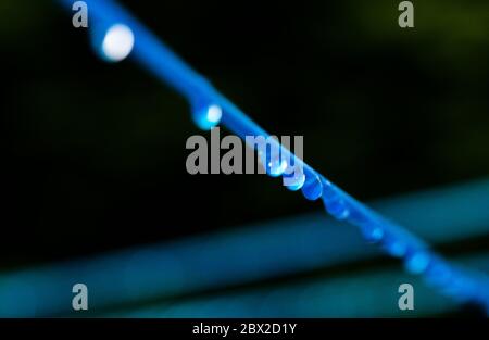 Eine blaue Bekleidungslinie einer Kleidung dreht sich mit vielen Regentropfen an der Schnur vor einem dunklen Hintergrund, nach dem Regen. Retro Art und Weise der Laund zu tun Stockfoto