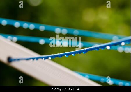 Blaue Bekleidungslinien einer Kleidung drehen sich mit vielen Regentropfen an der Schnur vor einem grünen Hintergrund, nach dem Regen. Retro Art der Wäsche zu machen Stockfoto